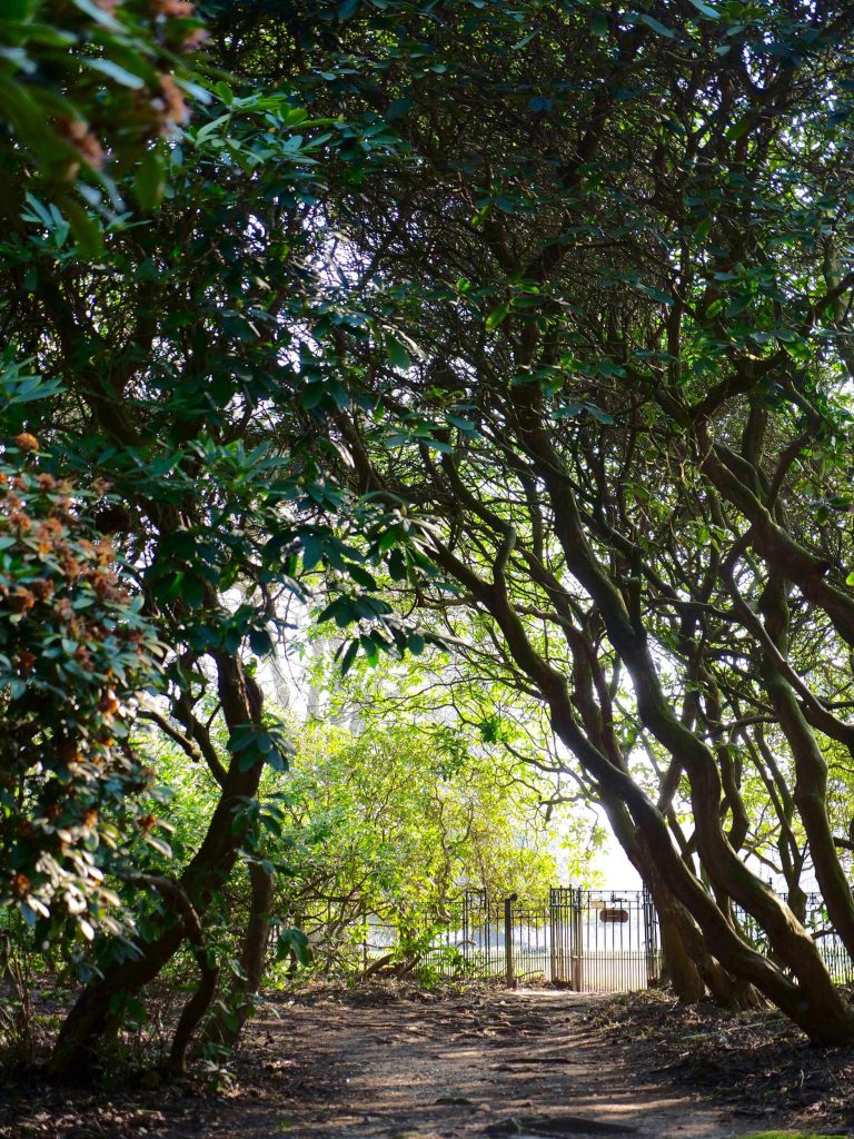 The Grove at Brockwood Park, home to the Krishnamurti Centre