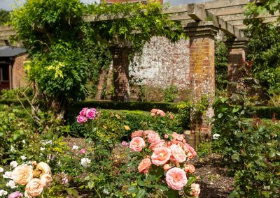The Brockwood Park Rose Garden